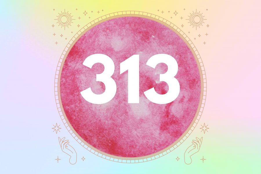 313 Angel Number Meaning
