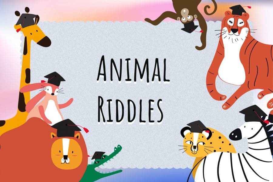 55 Animal Riddles For Kids & Adults