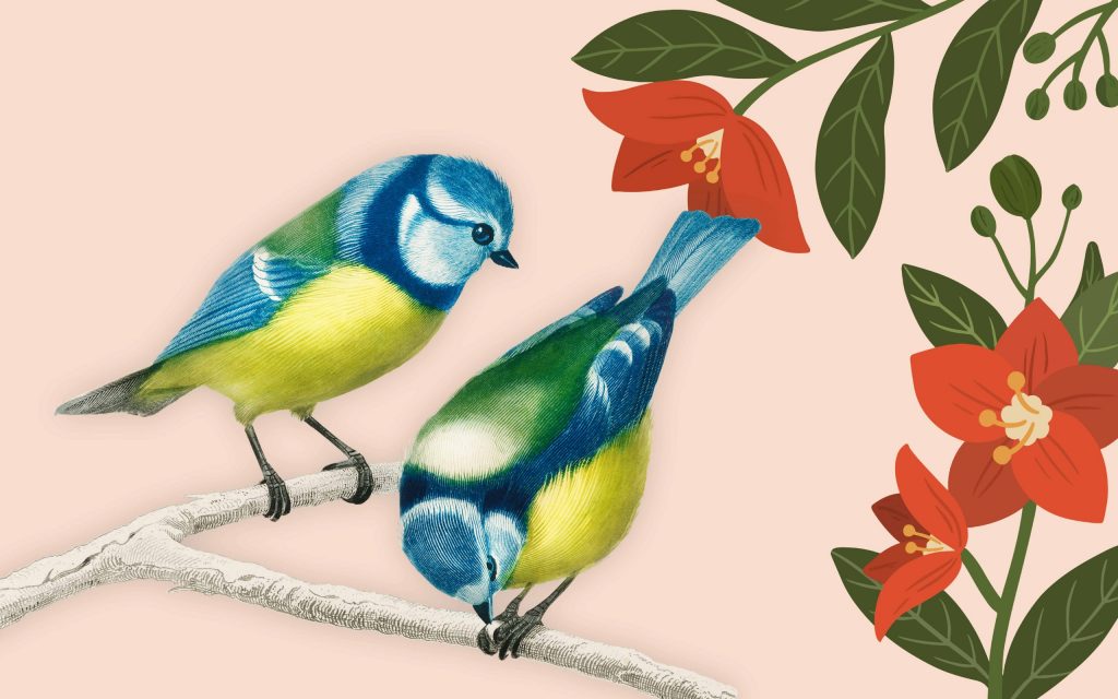 The 82 Very Best Bird Puns 2024