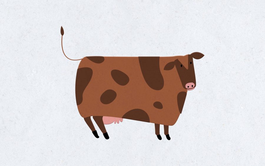 What Do You Call A Masturbating Cow What Do You Call A Masturbating Cow