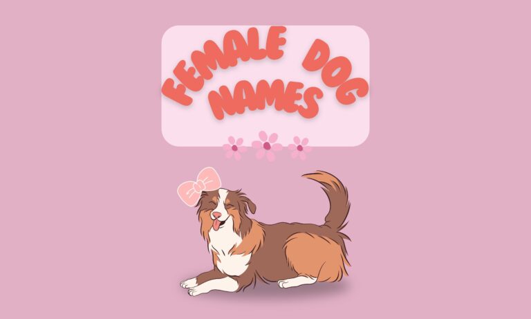 250+ Unique Female Dog Names (a-z)