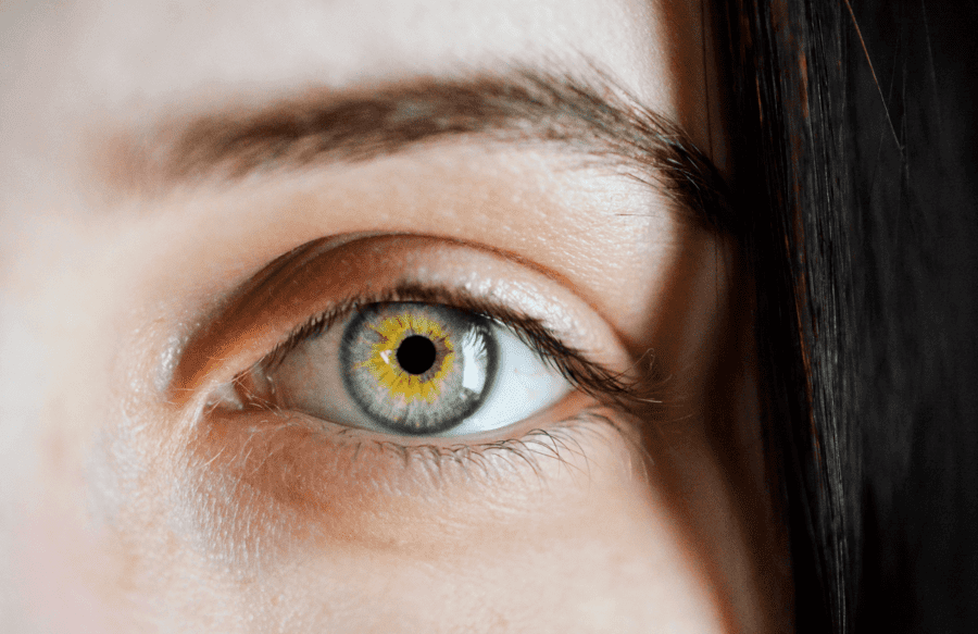 The Very Best 30 Amber Eyes Facts 2023