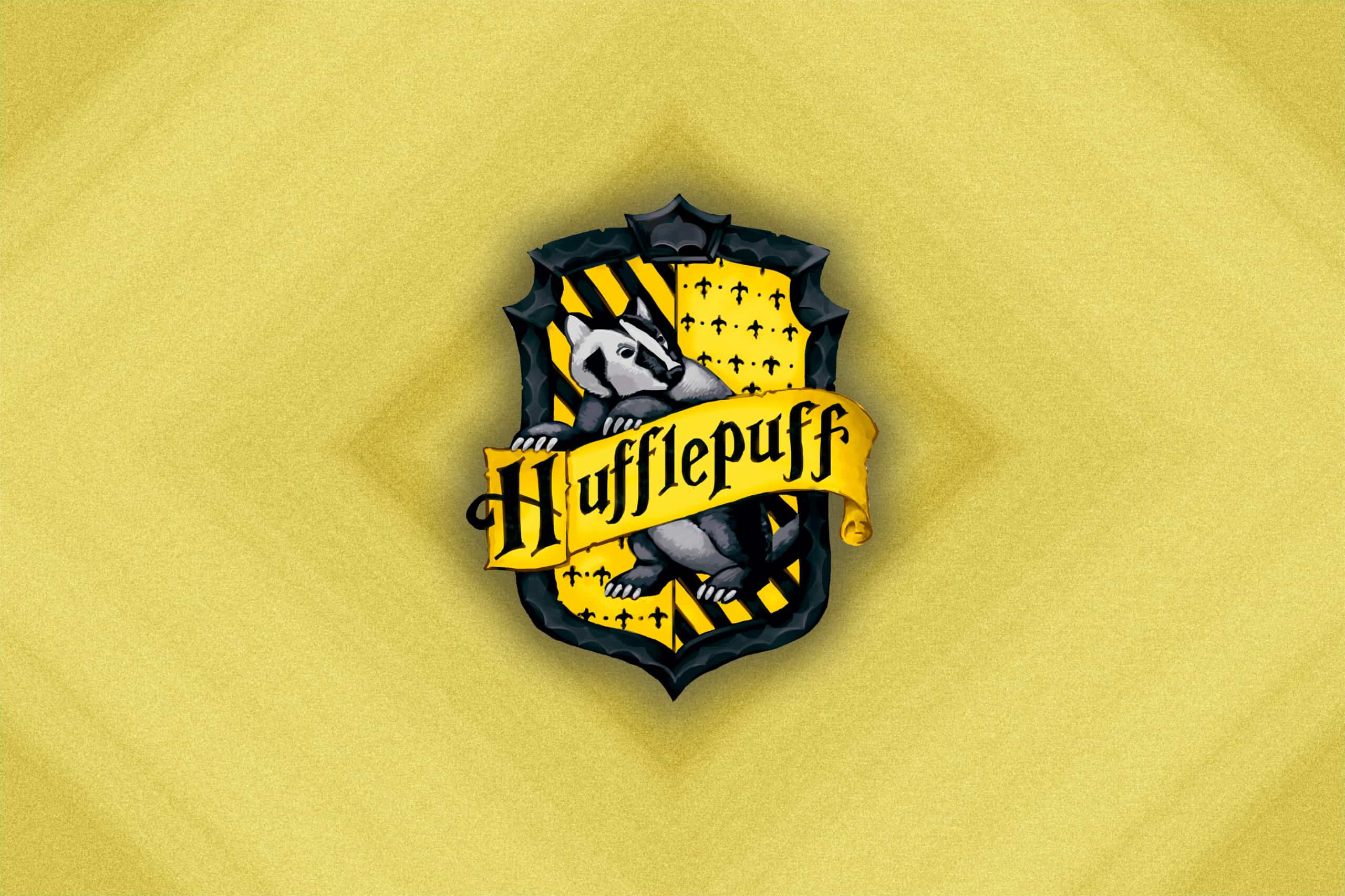 Harry Potter Hufflepuff Characters