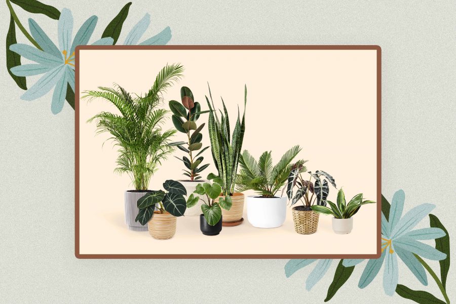 163 Funny Names (Names that Sound So Dirty!)