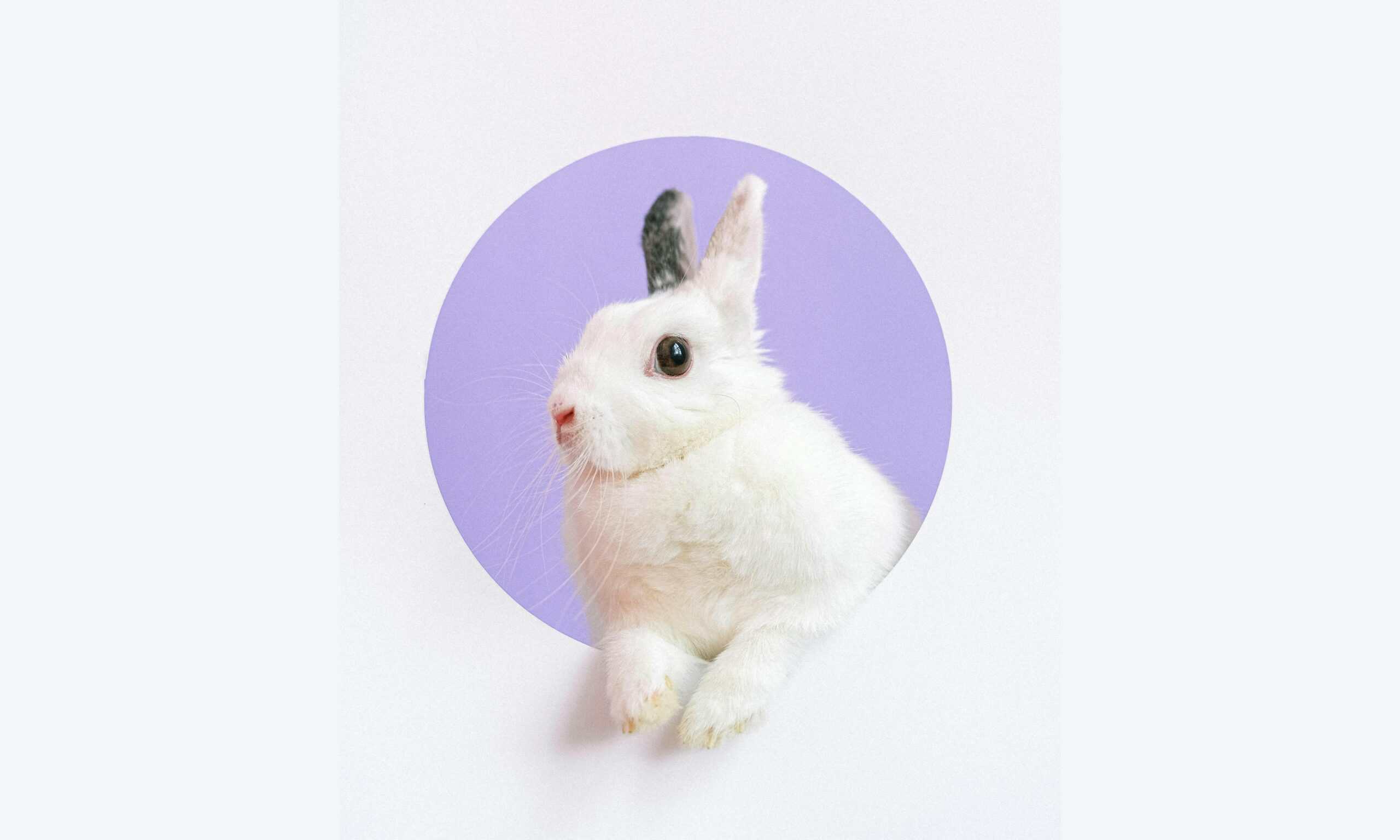 174 Riddles for Kids of All Ages (with Answers) 2024