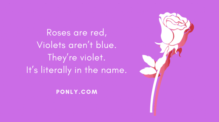 The 70 Very Best Roses Are Red Violets Are Blue Jokes 2024 6793