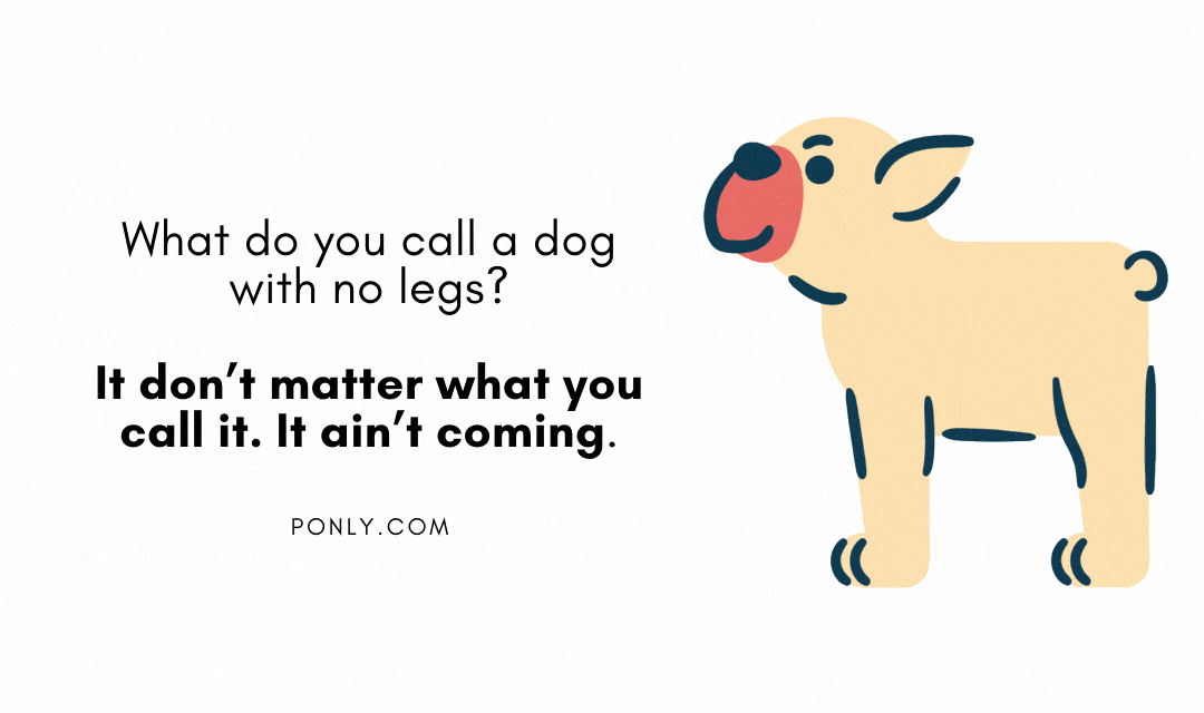 86 Dark Humor Jokes So Dark We Have To Warn You Twice